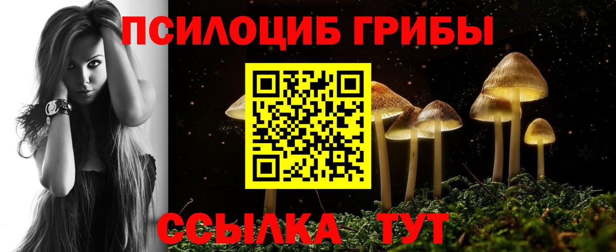 купить наркотик  Вход с VPN  Севастополь  Галлюциногенные грибы Psilocybine cubensis 