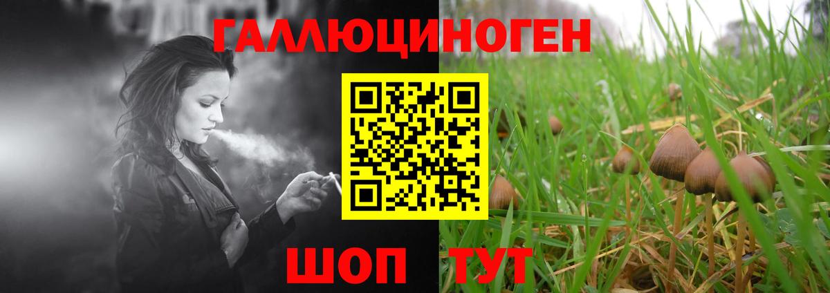 Галлюциногенные грибы Cubensis Севастополь